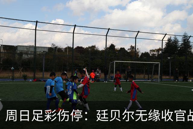 周日足彩伤停：廷贝尔无缘收官战 罗马伤兵满营
